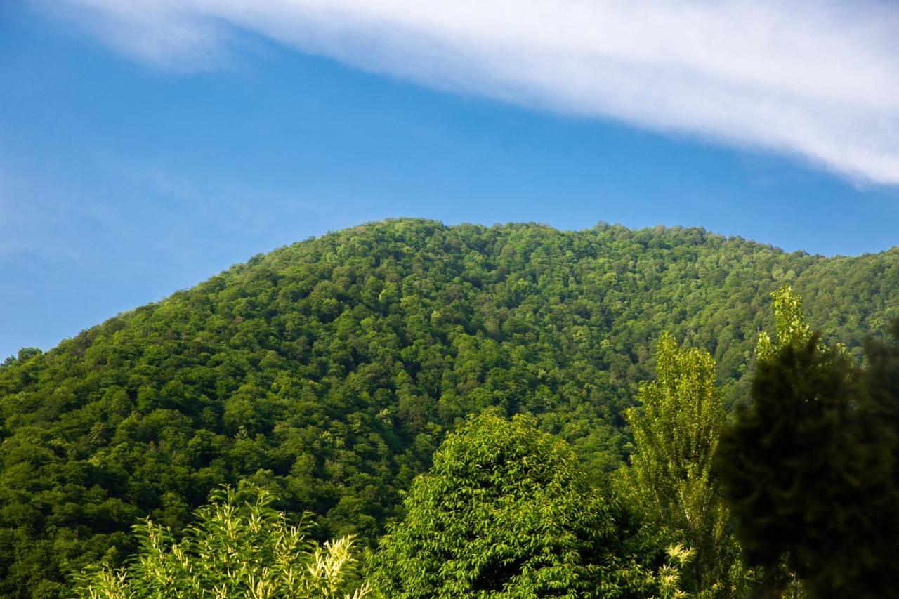 White Boutique Hotel Gabala Luaran gambar